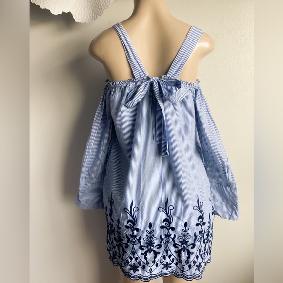 Zara Striped Floral Embroidered Shirt Mini Dress Long Sleeve Eyelets Victorian - Picture 6 of 13